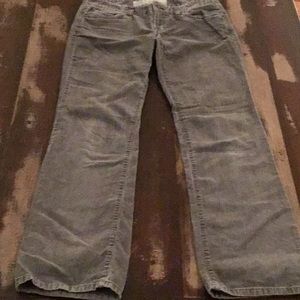 Loft Gray Cords- Size 8 Long- Slim Boot